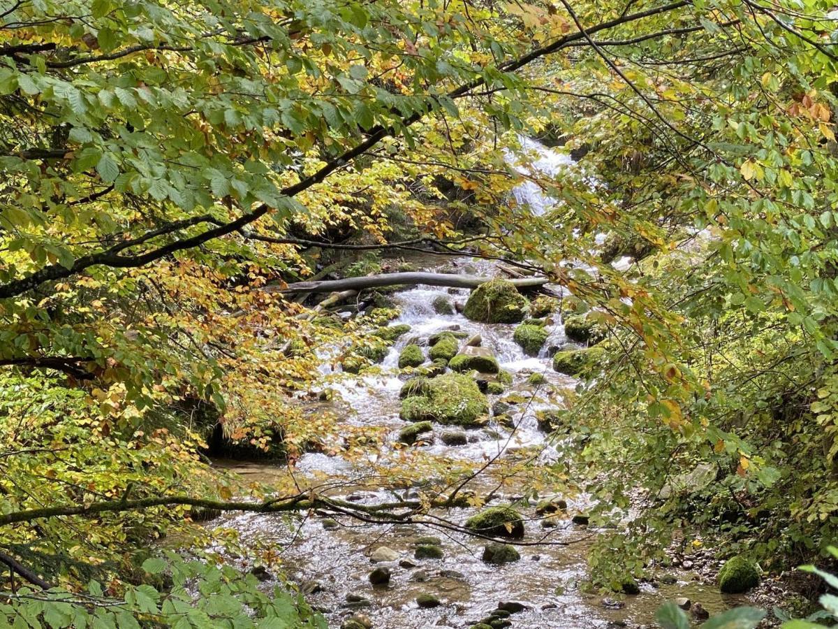Apartmán Berg & Tal Oberstaufen Exteriér fotografie